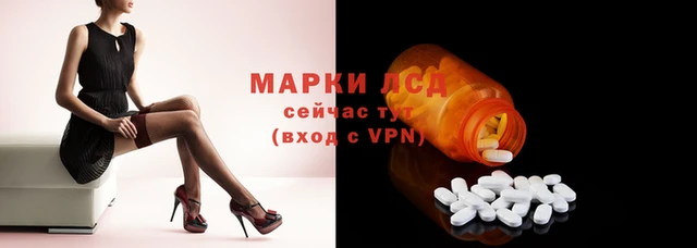 тгк Армянск