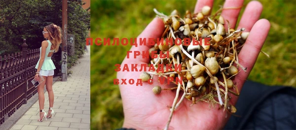 герыч Аркадак