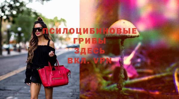 тгк Арсеньев